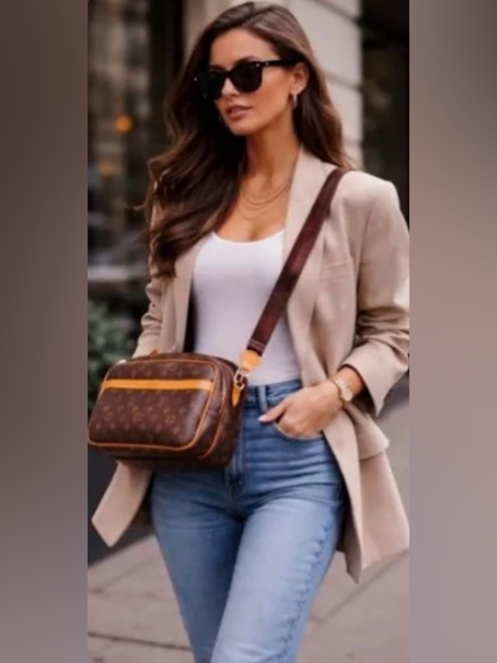 Louis Vuitton Reporter Monogram Bag